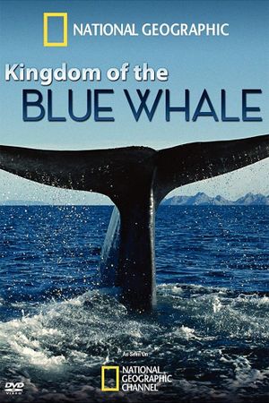 Kingdom of the Blue Whale's poster
