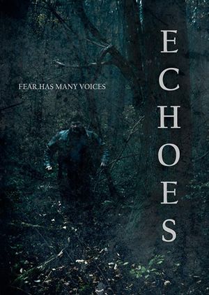 Echoes's poster