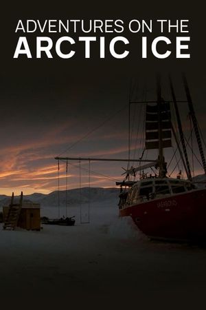 Adventures on the Arctic Ice's poster