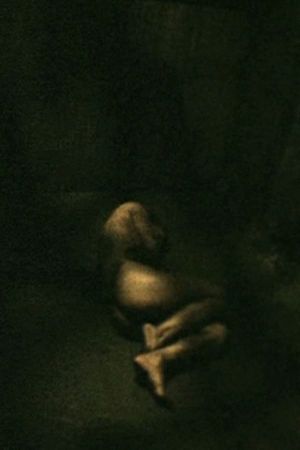 Touch's poster