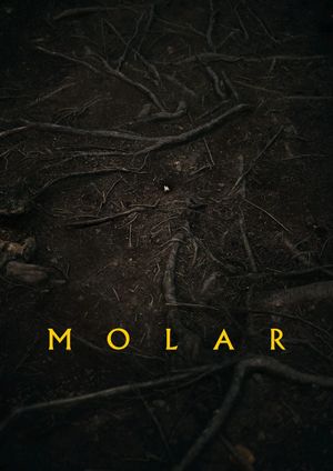 Molar's poster