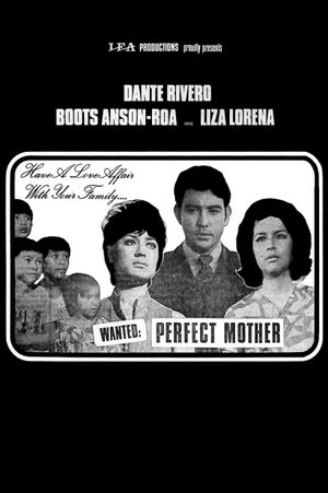 Wanted: Perfect Mother's poster