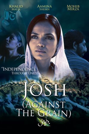Josh's poster