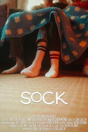 Sock's poster