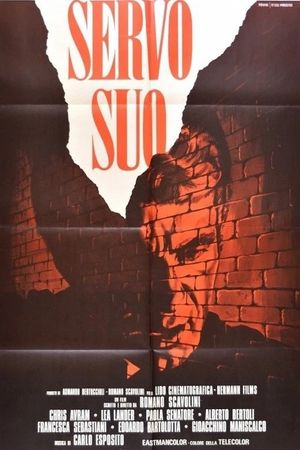 Your Honor's poster
