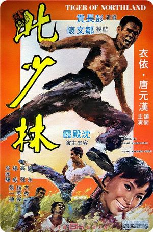 Bei Shao lin's poster