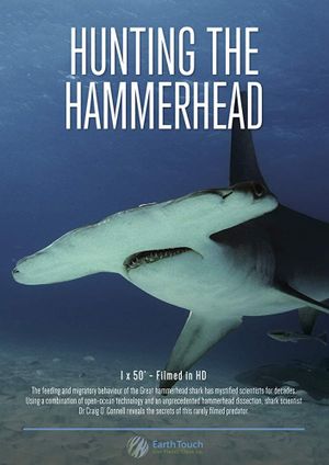 Hunting the Hammerhead's poster