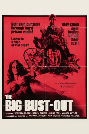 The Big Bust-Out's poster