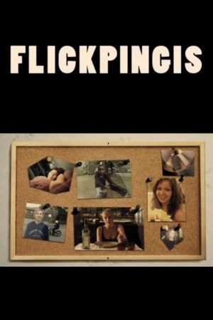 Flickpingis's poster