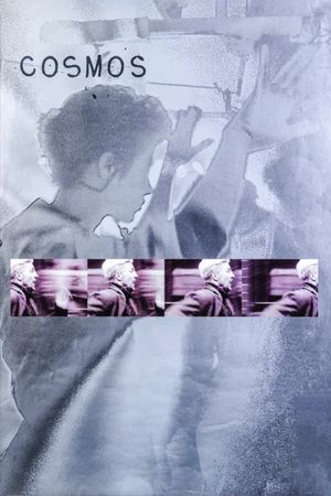 Cosmos's poster