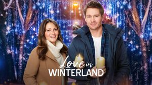 Love in Winterland's poster