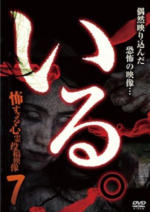 「Iru.」~ Kowasugiru Tōkō Eizō 13-hon ~ Vol.7's poster
