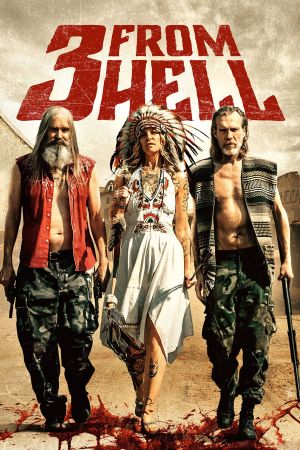 3 from Hell's poster image