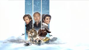 Cat and Dog's poster