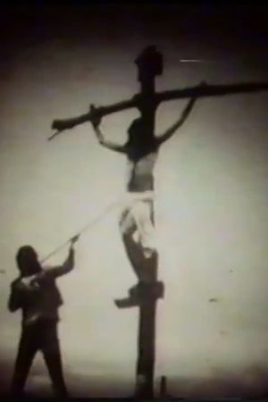 A Contemplation of the Cross's poster