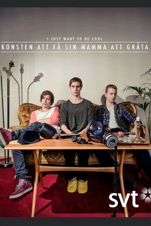 Konsten att få sin mamma att gråta's poster
