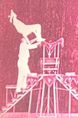 Vaudeville Deluxe's poster