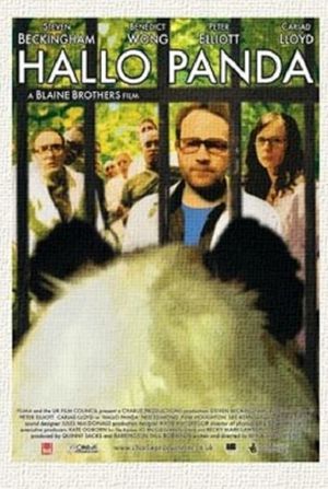 Hallo Panda's poster
