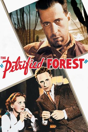 The Petrified Forest: Menace in the Desert's poster