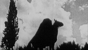 The Headless Horseman's poster