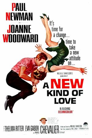 A New Kind of Love's poster