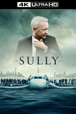 Sully's poster