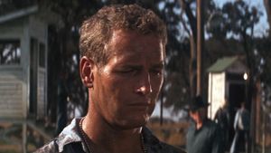 Cool Hand Luke's poster