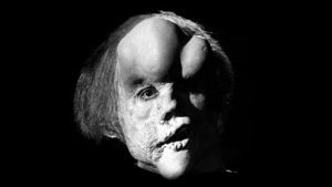 The Elephant Man's poster