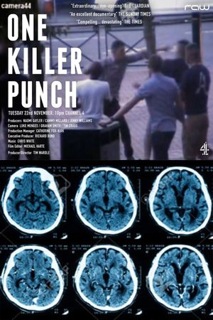 One Killer Punch's poster