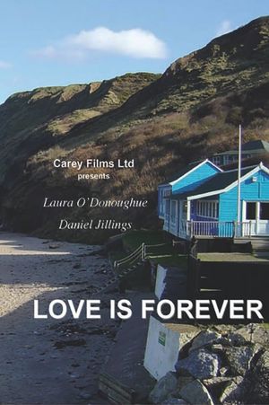 Love Is Forever's poster