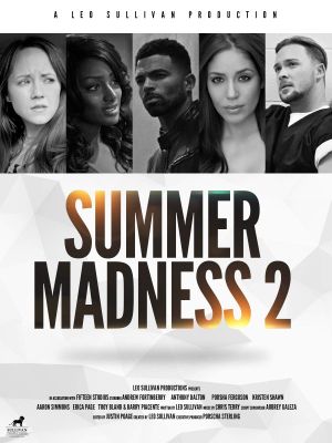 Summer Madness 2's poster