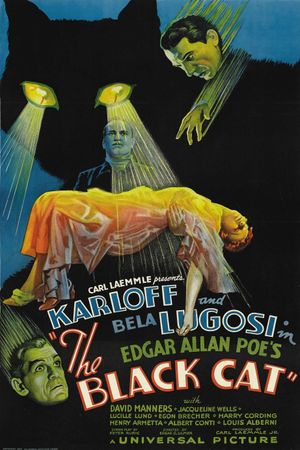 The Black Cat's poster