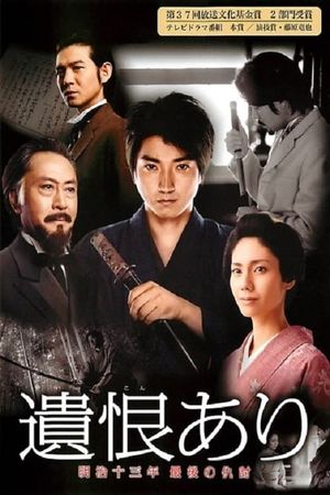 The Last Revenge's poster