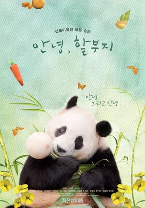 My Dearest Fu Bao's poster