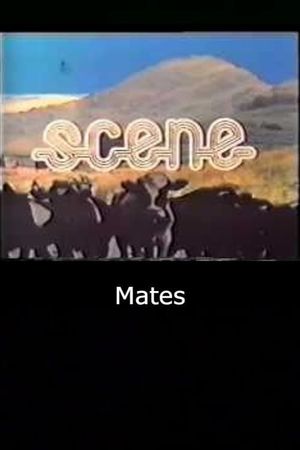 Mates's poster