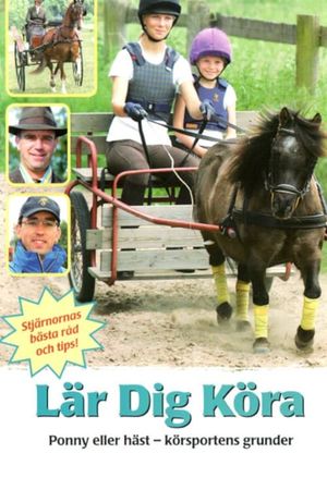 Lär dig köra's poster
