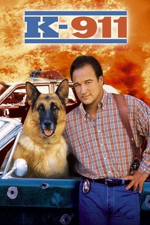 K-911's poster