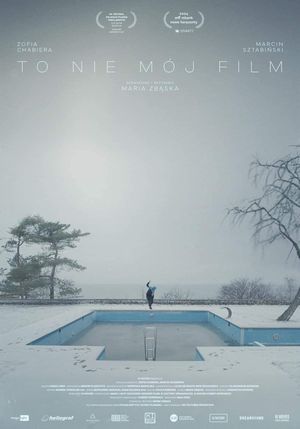 It's Not My Film's poster