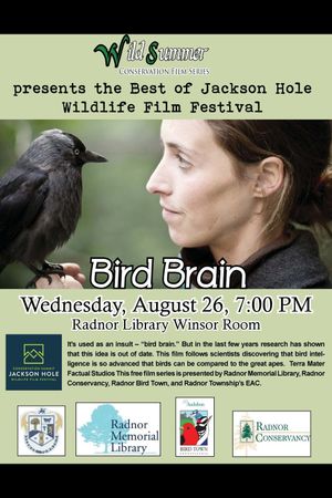 Bird Brain's poster