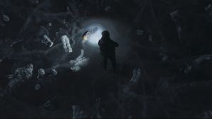 Black Crab's poster