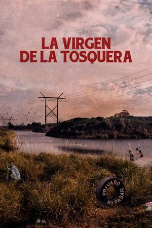 The Virgin of the Quarry Lake's poster