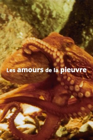 The Love Life of an Octopus's poster