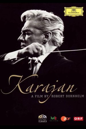 Karajan: Beauty As I See It's poster