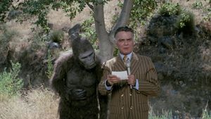 Schlock's poster
