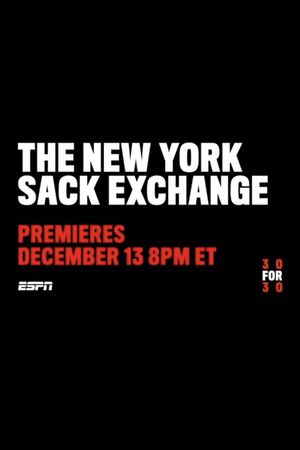 The New York Sack Exchange's poster