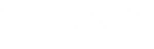 Downtown Owl's poster