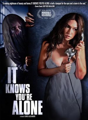 It Knows You're Alone's poster