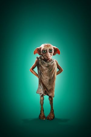 Harry Potter and the Chamber of Secrets's poster
