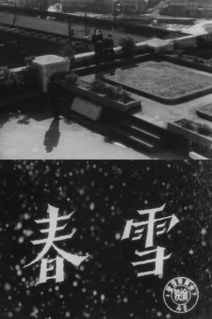 Spring Snow's poster
