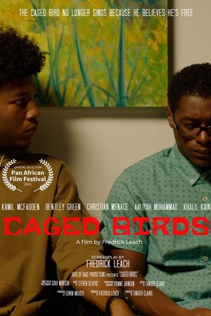 Caged Birds's poster